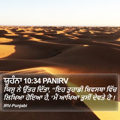 ਯੂਹੰਨਾ 10:34 PANIRV Bible Verse Image