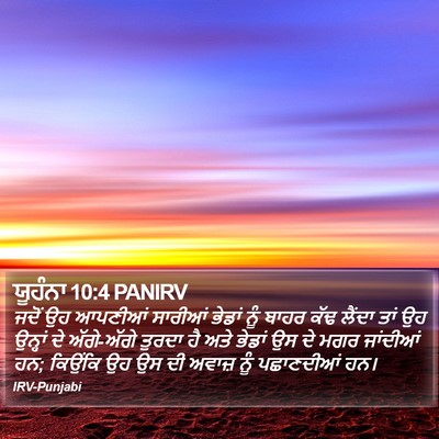 ਯੂਹੰਨਾ 10:4 PANIRV Bible Verse Image