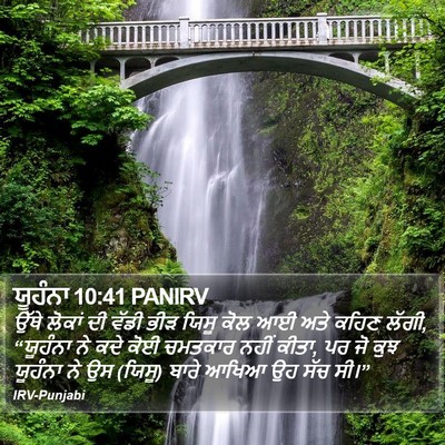 ਯੂਹੰਨਾ 10:41 PANIRV Bible Verse Image