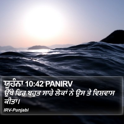 ਯੂਹੰਨਾ 10:42 PANIRV Bible Verse Image