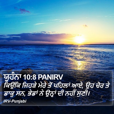 ਯੂਹੰਨਾ 10:8 PANIRV Bible Verse Image