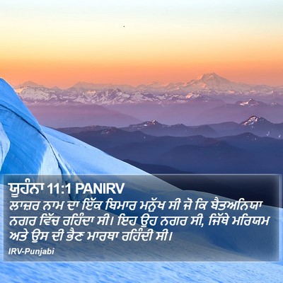 ਯੂਹੰਨਾ 11:1 PANIRV Bible Verse Image