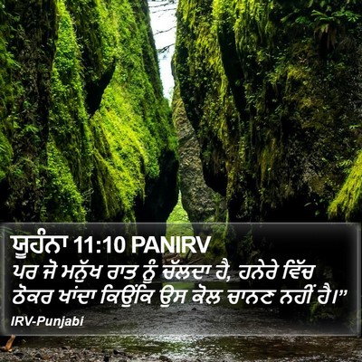 ਯੂਹੰਨਾ 11:10 PANIRV Bible Verse Image