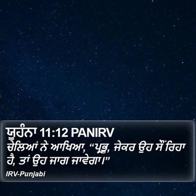 ਯੂਹੰਨਾ 11:12 PANIRV Bible Verse Image