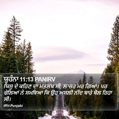 ਯੂਹੰਨਾ 11:13 PANIRV Bible Verse Image