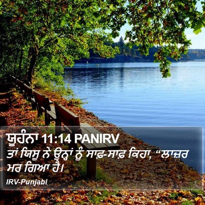 ਯੂਹੰਨਾ 11:14 PANIRV Bible Verse Image