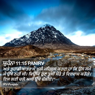 ਯੂਹੰਨਾ 11:15 PANIRV Bible Verse Image