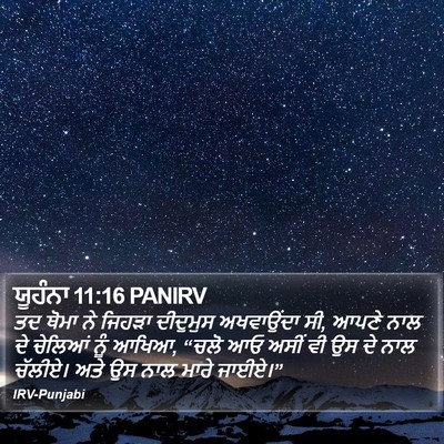 ਯੂਹੰਨਾ 11:16 PANIRV Bible Verse Image