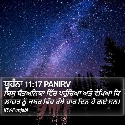 ਯੂਹੰਨਾ 11:17 PANIRV Bible Verse Image