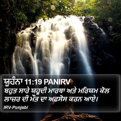 ਯੂਹੰਨਾ 11:19 PANIRV Bible Verse Image
