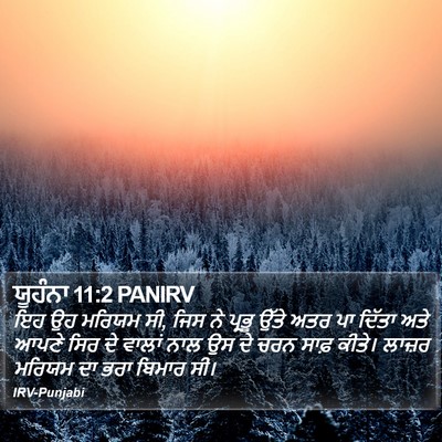 ਯੂਹੰਨਾ 11:2 PANIRV Bible Verse Image