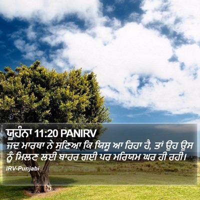 ਯੂਹੰਨਾ 11:20 PANIRV Bible Verse Image