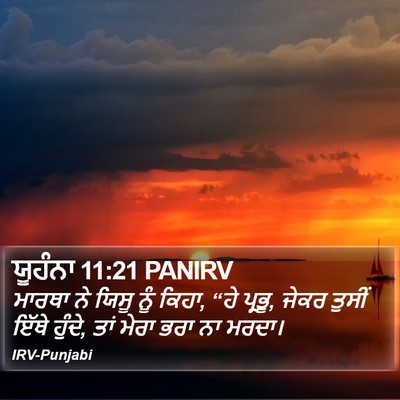 ਯੂਹੰਨਾ 11:21 PANIRV Bible Verse Image