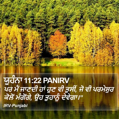 ਯੂਹੰਨਾ 11:22 PANIRV Bible Verse Image