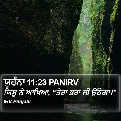 ਯੂਹੰਨਾ 11:23 PANIRV Bible Verse Image