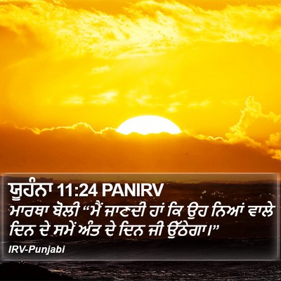 ਯੂਹੰਨਾ 11:24 PANIRV Bible Verse Image