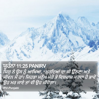 ਯੂਹੰਨਾ 11:25 PANIRV Bible Verse Image
