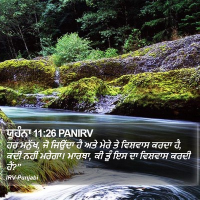 ਯੂਹੰਨਾ 11:26 PANIRV Bible Verse Image