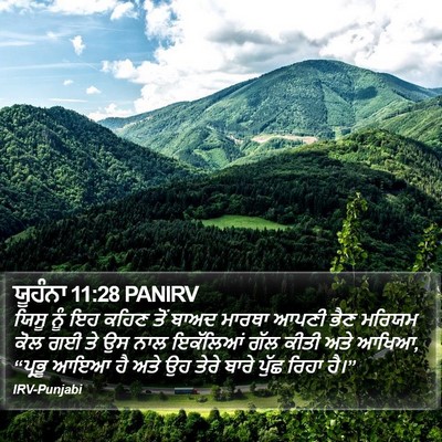 ਯੂਹੰਨਾ 11:28 PANIRV Bible Verse Image