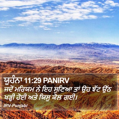 ਯੂਹੰਨਾ 11:29 PANIRV Bible Verse Image