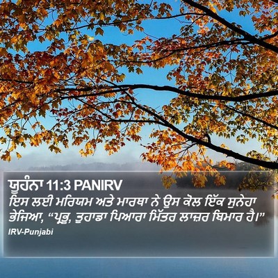 ਯੂਹੰਨਾ 11:3 PANIRV Bible Verse Image
