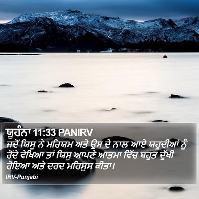 ਯੂਹੰਨਾ 11:33 PANIRV Bible Verse Image