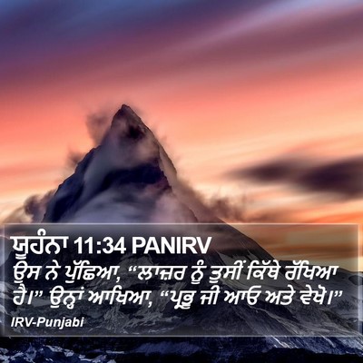 ਯੂਹੰਨਾ 11:34 PANIRV Bible Verse Image