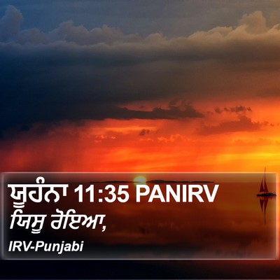 ਯੂਹੰਨਾ 11:35 PANIRV Bible Verse Image