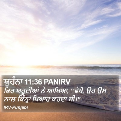 ਯੂਹੰਨਾ 11:36 PANIRV Bible Verse Image