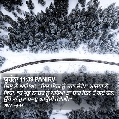 ਯੂਹੰਨਾ 11:39 PANIRV Bible Verse Image