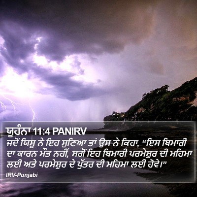 ਯੂਹੰਨਾ 11:4 PANIRV Bible Verse Image