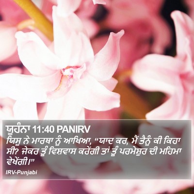 ਯੂਹੰਨਾ 11:40 PANIRV Bible Verse Image