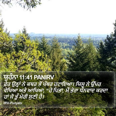 ਯੂਹੰਨਾ 11:41 PANIRV Bible Verse Image
