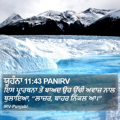 ਯੂਹੰਨਾ 11:43 PANIRV Bible Verse Image
