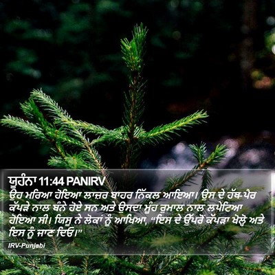 ਯੂਹੰਨਾ 11:44 PANIRV Bible Verse Image