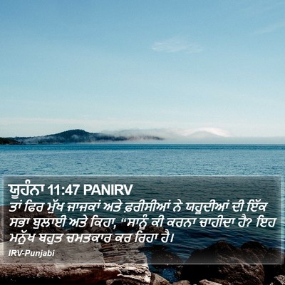 ਯੂਹੰਨਾ 11:47 PANIRV Bible Verse Image