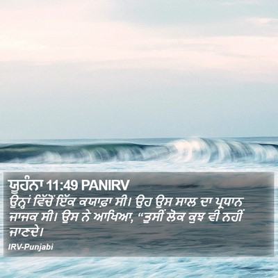 ਯੂਹੰਨਾ 11:49 PANIRV Bible Verse Image