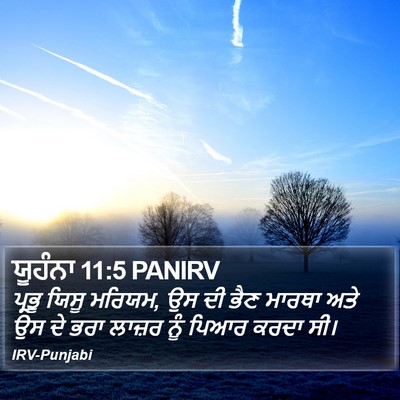 ਯੂਹੰਨਾ 11:5 PANIRV Bible Verse Image