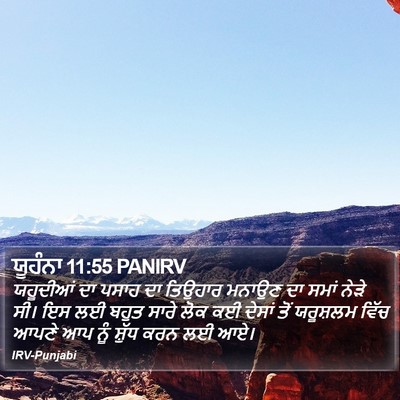 ਯੂਹੰਨਾ 11:55 PANIRV Bible Verse Image