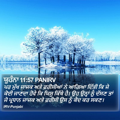 ਯੂਹੰਨਾ 11:57 PANIRV Bible Verse Image