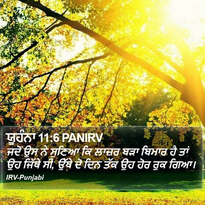 ਯੂਹੰਨਾ 11:6 PANIRV Bible Verse Image