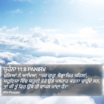 ਯੂਹੰਨਾ 11:8 PANIRV Bible Verse Image