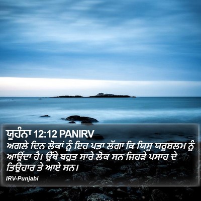 ਯੂਹੰਨਾ 12:12 PANIRV Bible Verse Image