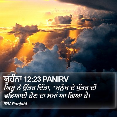ਯੂਹੰਨਾ 12:23 PANIRV Bible Verse Image