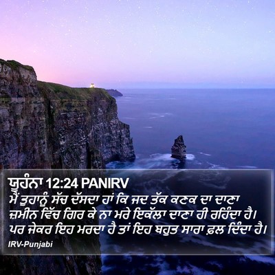 ਯੂਹੰਨਾ 12:24 PANIRV Bible Verse Image
