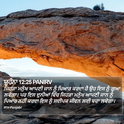 ਯੂਹੰਨਾ 12:25 PANIRV Bible Verse Image