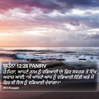 ਯੂਹੰਨਾ 12:28 PANIRV Bible Verse Image