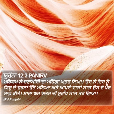 ਯੂਹੰਨਾ 12:3 PANIRV Bible Verse Image