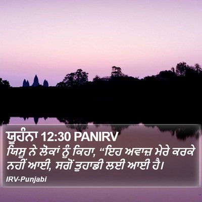ਯੂਹੰਨਾ 12:30 PANIRV Bible Verse Image