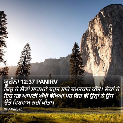 ਯੂਹੰਨਾ 12:37 PANIRV Bible Verse Image